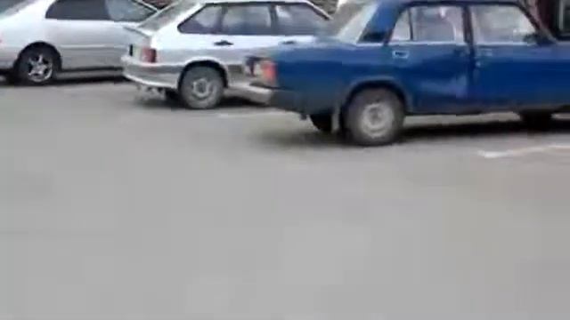 Коты против псов. Кто кого?