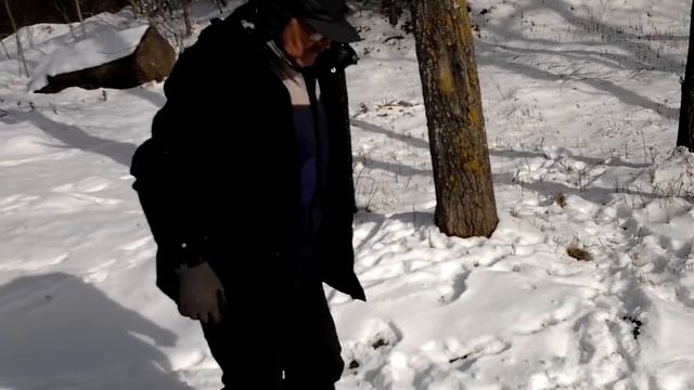 Испытание самодельного мотособаки смотреть онлайн