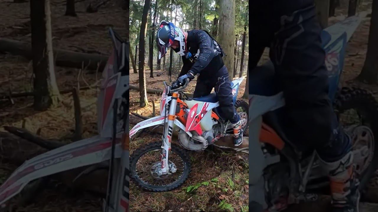 2 ноября 2023 г. смотреть онлайн