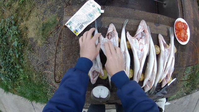 Наивкуснейший Судак в КОКТАЛЬНИЦЕ! смотреть онлайн