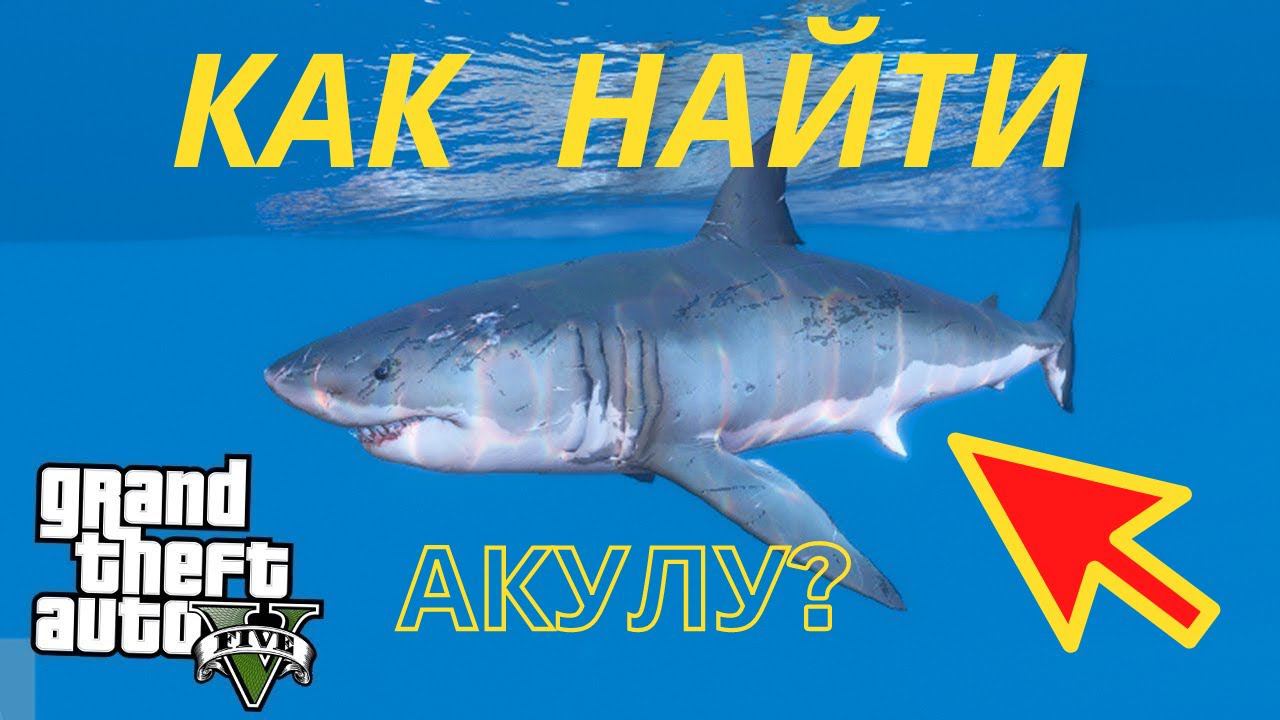 Как найти акулу в GTA 5? смотреть онлайн