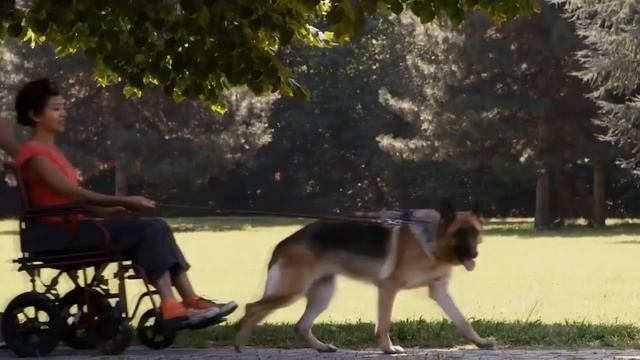 ТАКИХ СОБАК МУТАНТОВ ВЫ ЕЩЕ НЕ ВИДЕЛИ смотреть онлайн