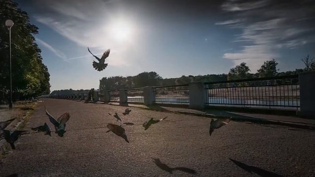Город ПИНСК (Летние зарисовки) - (Фото Александра Шатохина (Пинск), музыка - Peter Pearson) смотреть онлайн