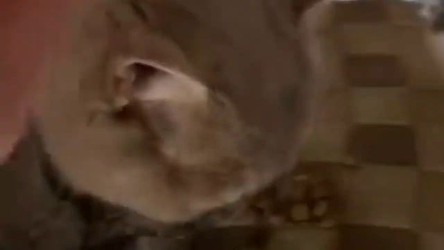 ДУШИ,ДАННЫЕ СУДЬБОЙ... смотреть онлайн