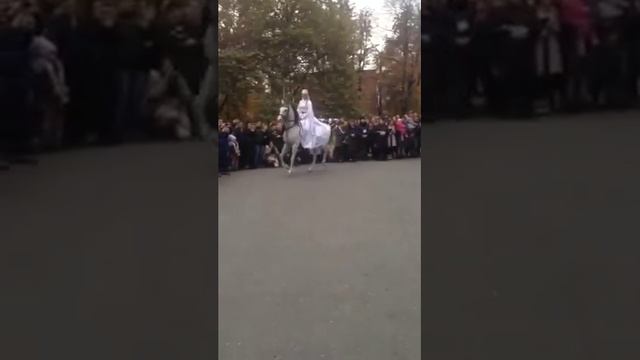 Конь танцует на свадьбе смотреть онлайн