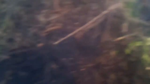 Старый пляж 2, поиск металлодетектором. смотреть онлайн
