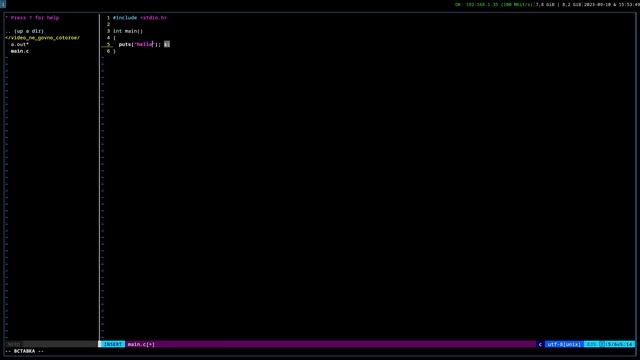 #1 [урод по C]: Функция printf, puts и немного про потоки. смотреть онлайн