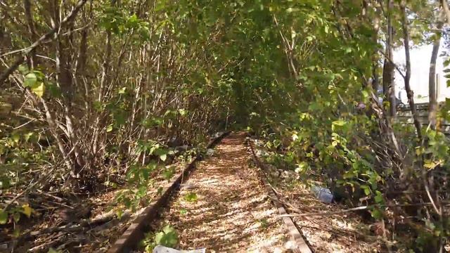 Заброшенная железная дорога в Москве смотреть онлайн