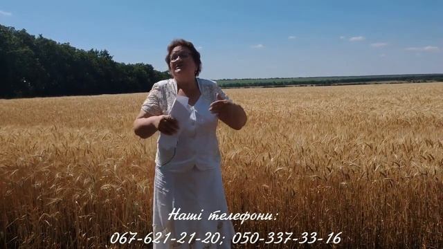 Октава Одеська. Різниця між остою та безостою пшеницею смотреть онлайн