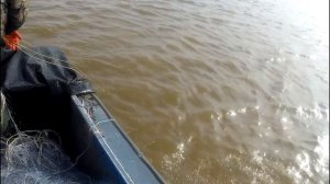 ПРОМЫСЛОВАЯ РЫБАЛКА СЕТЯМИ. Рыбалка на Амуре. Лов лосося кеты.