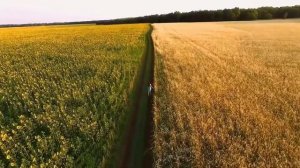 Михневич В.А. Современные увлечения молодежи.