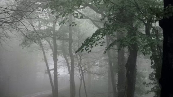 Soft Piano Relaxing Music | Meditation Music | Sleep Music With Soft Rain Sounds