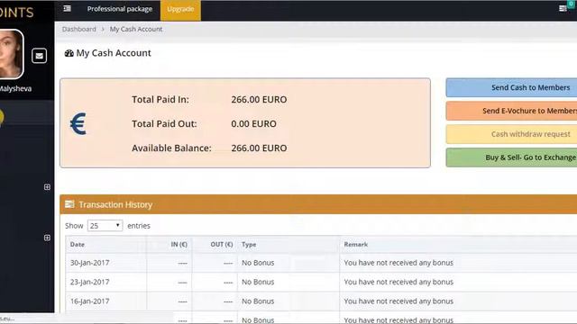 Денежный и торговый баланс RealPoints