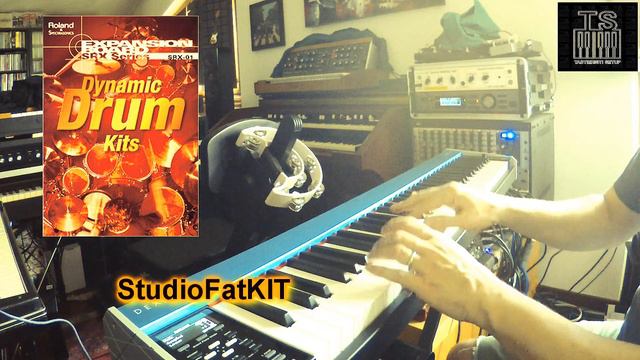 Roland Vintage series - SRX 01 Expansion - Dynamic Drum Kits смотреть онлайн