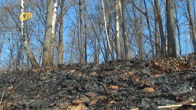 О ЗАПРЕТЕ СЖИГАНИЯ ТРАВЫ НА ДАЧАХ смотреть онлайн