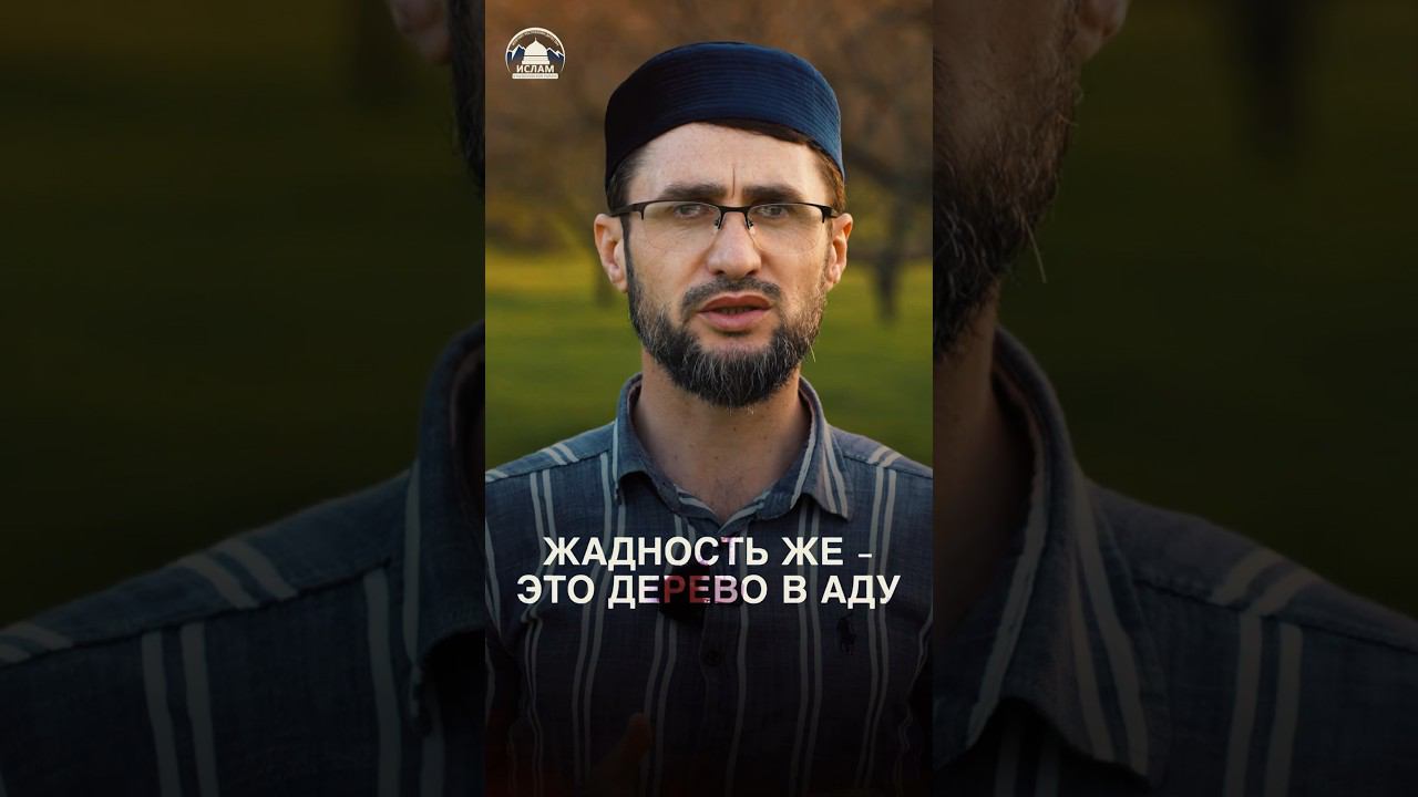 Щедрость и жадность #prodinmedia #продинмедиа смотреть онлайн