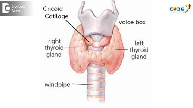How to do a self neck exam for early detection of Thyroid disease? - Dr. Anantharaman Ramakrishnan смотреть онлайн