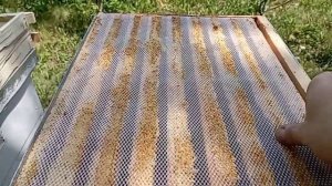 Силиконовая сетка для сбора прополиса работает прекрасно!!!