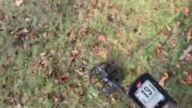 Minelab Manticore First Time: Metal Detecting NYC