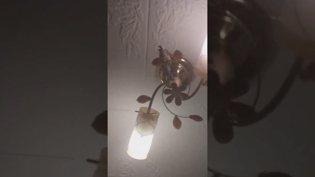 Я у бабушки этот щегол живёт у бабушки но он всё равно мой питомец смотреть онлайн