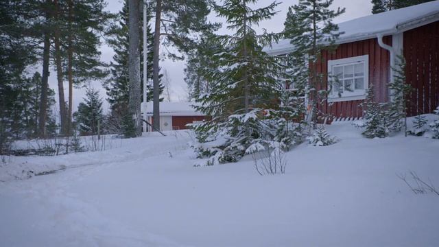 Škoda Enyaq RS IV Mamba Green & Škoda Enyaq Coupé RS IV Phoenix Orange | Footage