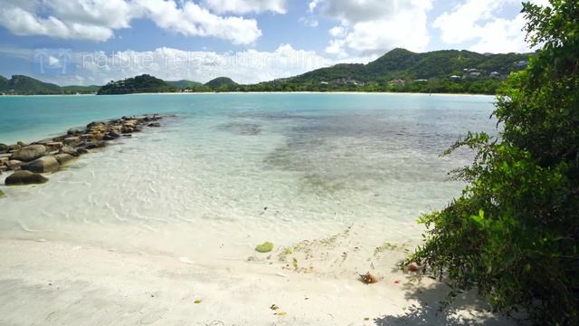 День в Карибском бассейне