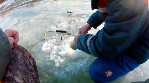 ЧЕХОНЬ на каждом забросе! | Зимняя рыбалка на р. Хопёр 2020