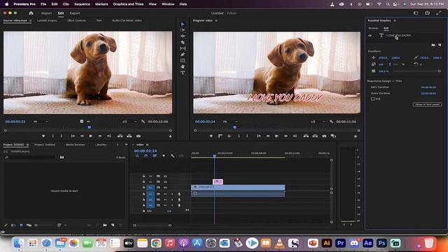 Add Text and Edit Text QUICKLY - Text Panel - Premiere Pro CC смотреть онлайн