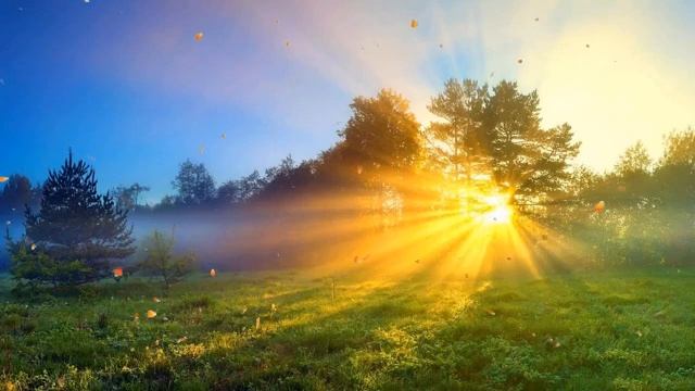 Глубокая расслабляющая музыка • Музыка для медитации, музыка для сна, успокаивающая музыка смотреть онлайн