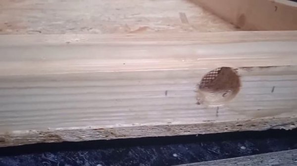 дно для улья своими руками. ОБЗОР Альтернатива сетчатому дну.