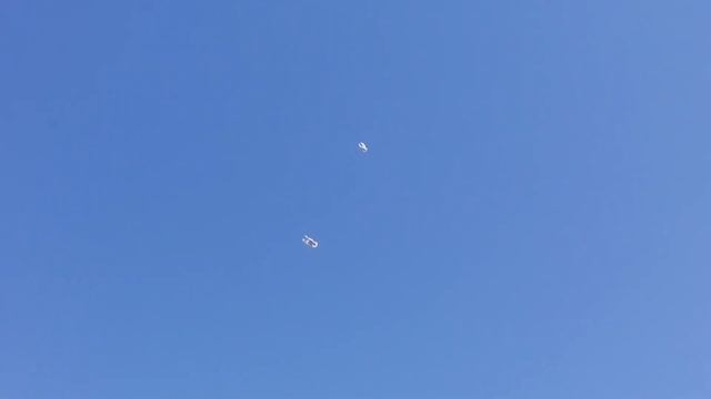 Два бойных голубя столбовика смотреть онлайн