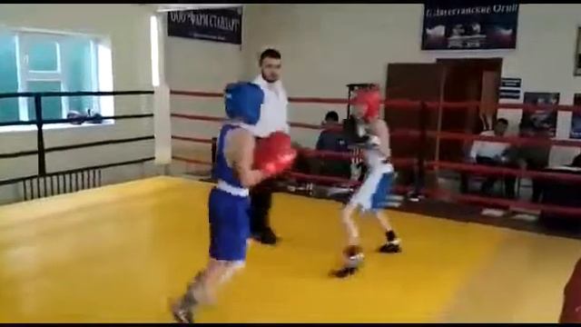 24.02.19г.бокс.Даг.Огни. смотреть онлайн