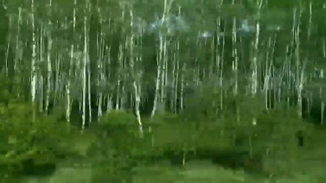 Стихотворение приезжай.. В.Понкин смотреть онлайн