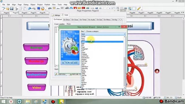 input object в Auto Play media studio Как поставить таймер смотреть онлайн