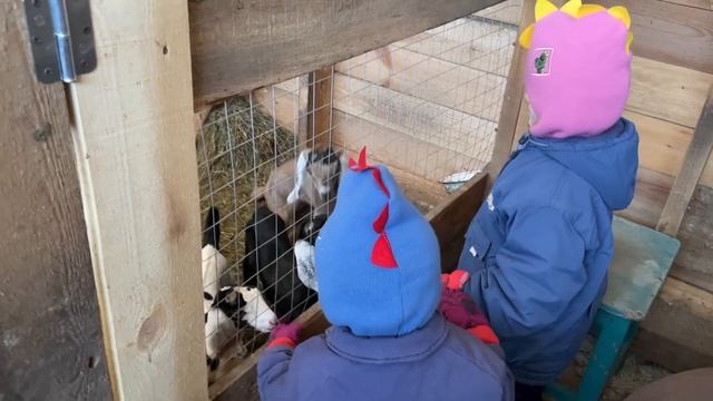 ДЕТИ НА ХОЗЯЙСТВЕ! ВОСПИТЫВАЕМ БУДУЩИХ ФЕРМЕРОВ! НАША ФЕРМА! ЖИЗНЬ ПРОСТЫХ ЛЮДЕЙ В ДЕРЕВНЕ! смотреть онлайн
