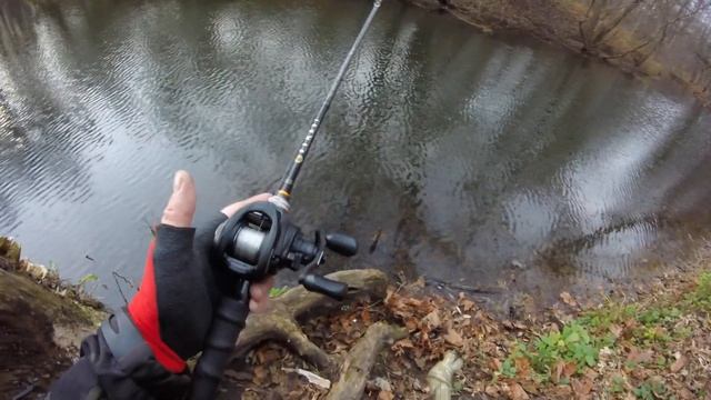 NGF#307 AbuGarcia ROXANI BF8. Первое впечатление смотреть онлайн