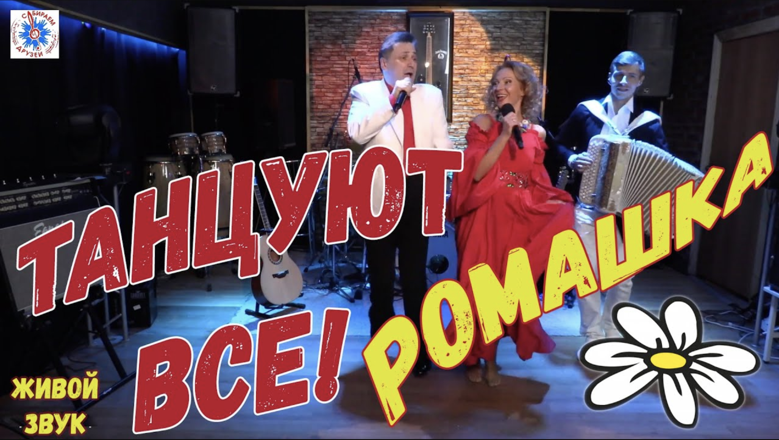 ТАНЦУЮТ ВСЕ! Ромашка Белая смотреть онлайн