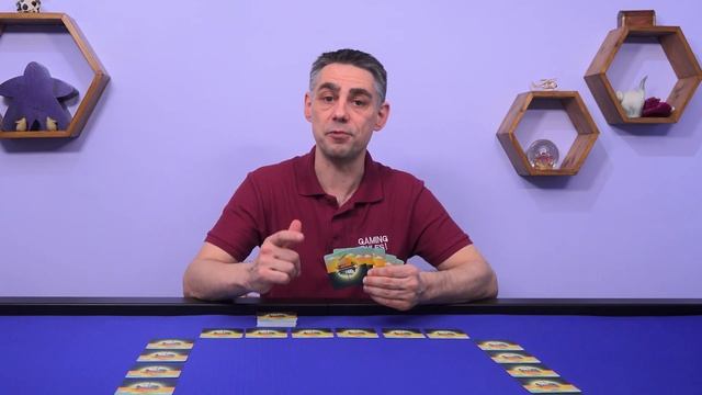 Tranquility - How to Play Tutorial video from Gaming Rules! смотреть онлайн