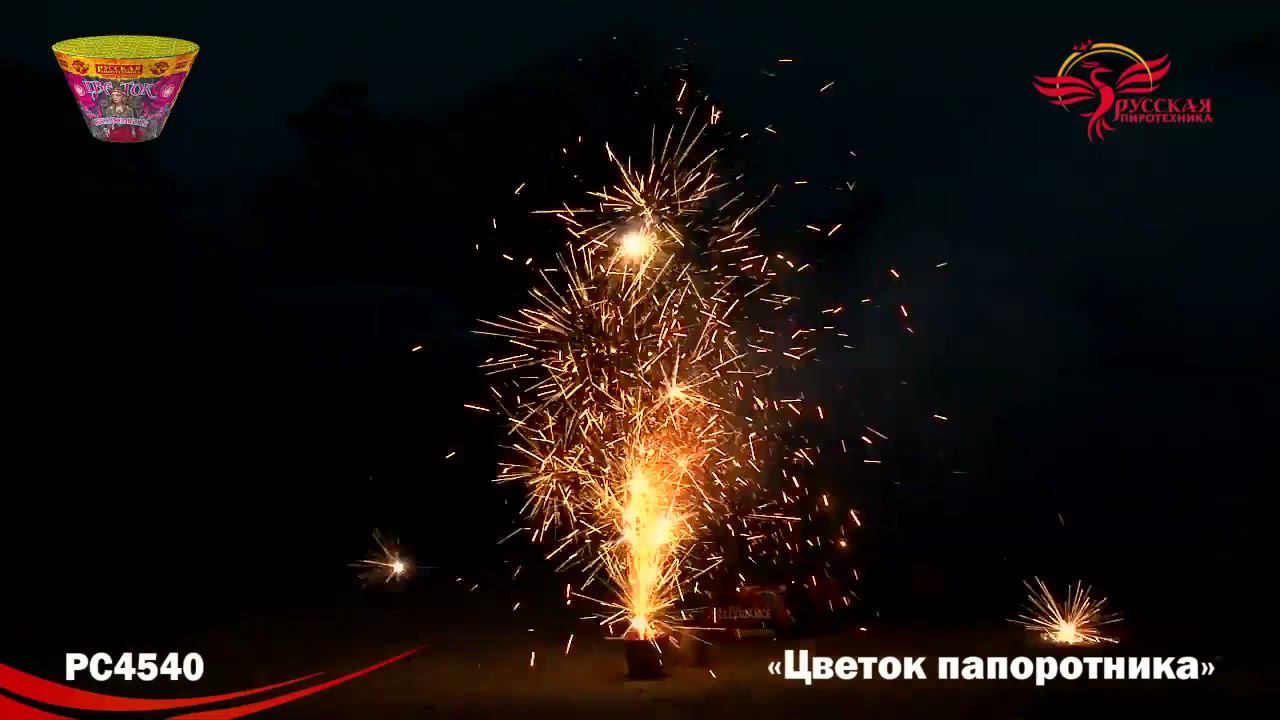 PC 4540 смотреть онлайн