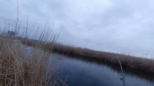 ЩУКА НА БЕРДЕ ЗА ПЯТИХАТКАМИ