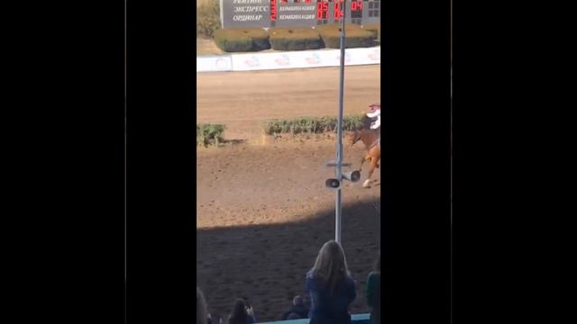 Джигитовка Ростовские Казаки 30.09.2018 смотреть онлайн