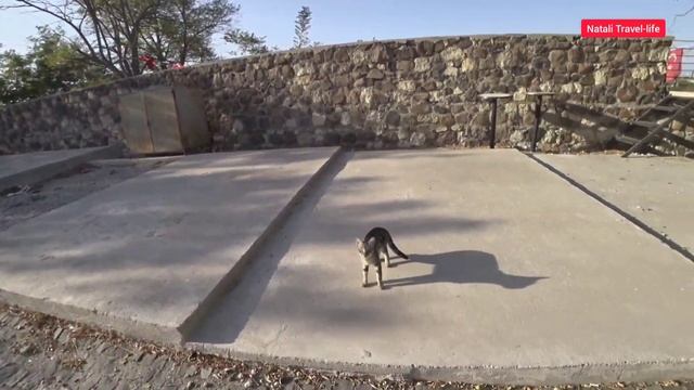 ТУРЦИЯ ?? АЛАЧАТИ / СМОТРОВАЯ / ВЕТРЯНЫЕ МЕЛЬНИЦЫ / АМФИТЕАТР ! ALAÇATI / TURKEY ?? смотреть онлайн