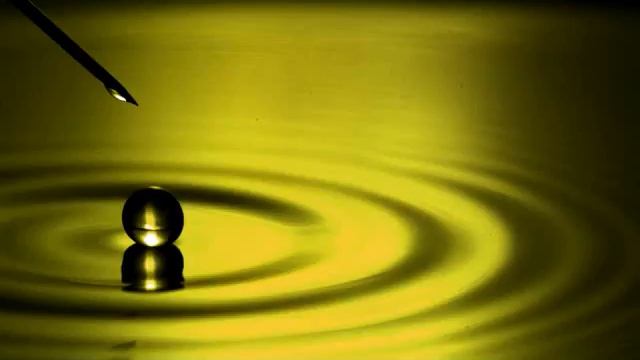 Groovy Timewarp смотреть онлайн