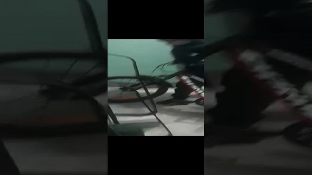 Сезон велосипеда Открыт