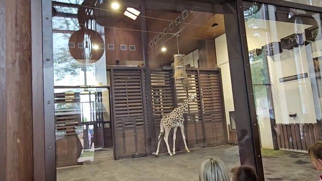 Харьков сегодня, май, 21.05.2023, Харьковский зоопарк