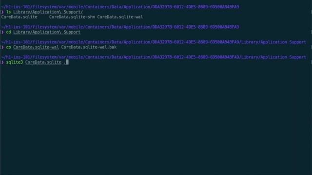 iOS Hacking - Filesystem Basics смотреть онлайн