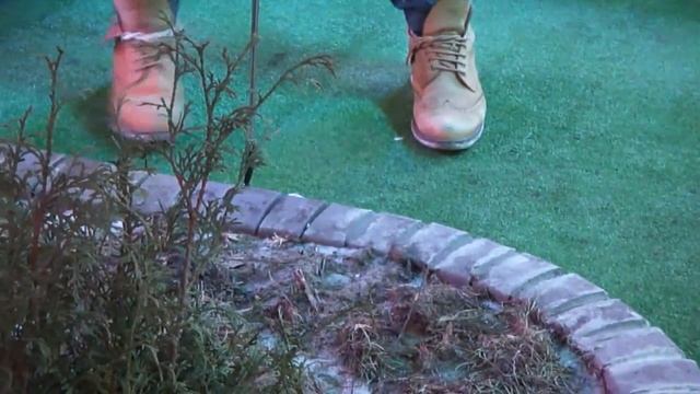 Открытие сезона по мини-гольфу смотреть онлайн