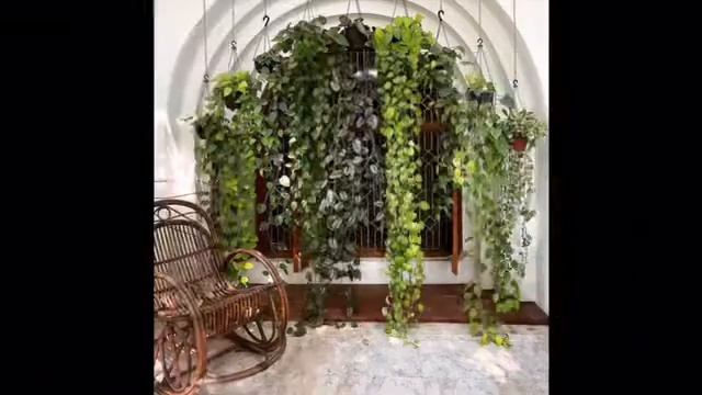 Лучшие интерьеры с растениями. Растения в интерьере. Дизайн интерьера растениями. Комнатные растени смотреть онлайн