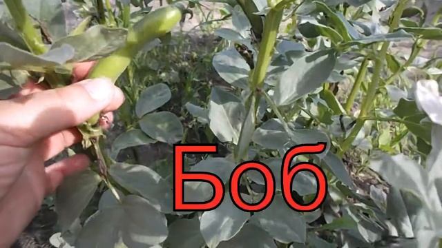 Фотография Архитектуры