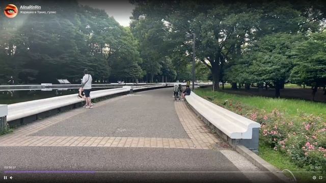 АлинаРин РАССКАЗАЛА СМЕШНОЙ АНЕКДОТ! AlinaRin нарезки